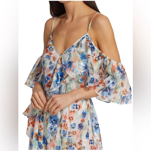 #301 Tanya Taylor Lorena Floral Ruffle Maxi Dress size 6 NWT - Picture 3 of 12